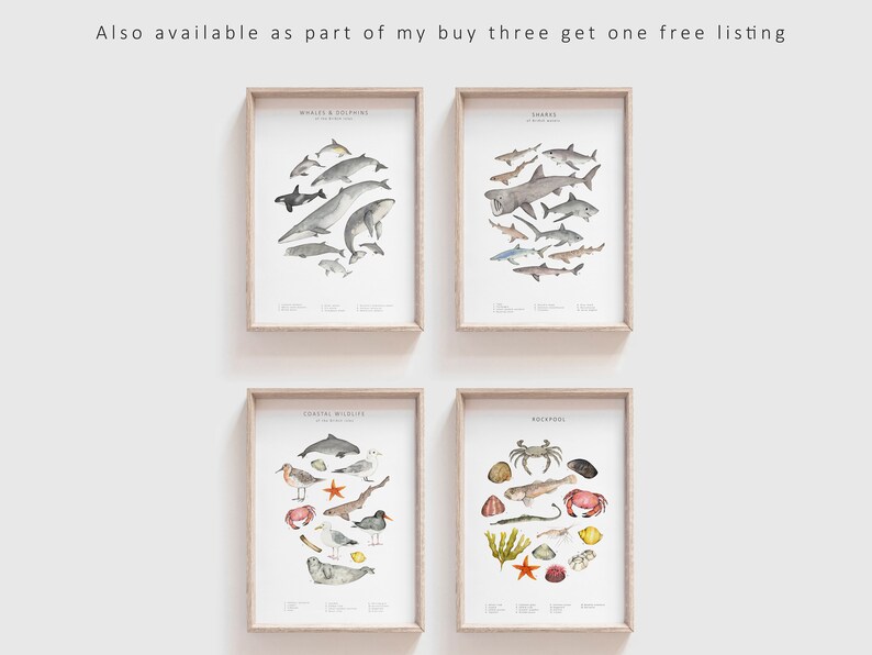 Watercolour shark print animal wall art image 7