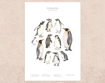 Penguin illustration postcard print