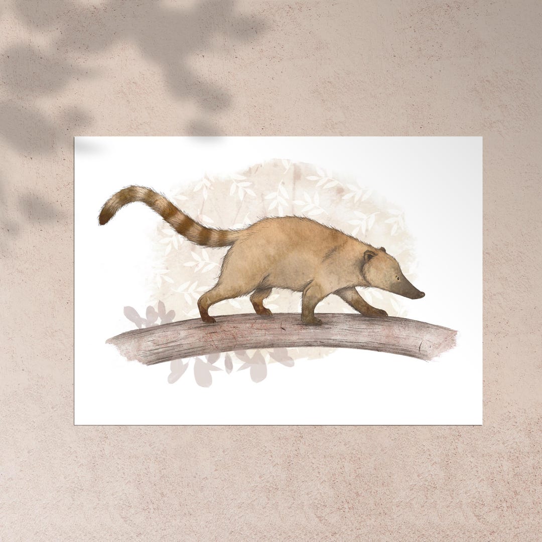 Coati Large Postcard Print - Etsy