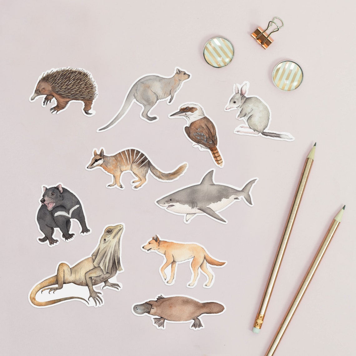 Australian Animal Sticker Set Etsy UK