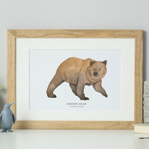 Brown bear watercolour print