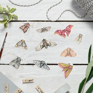 Moth animal stickers image 2