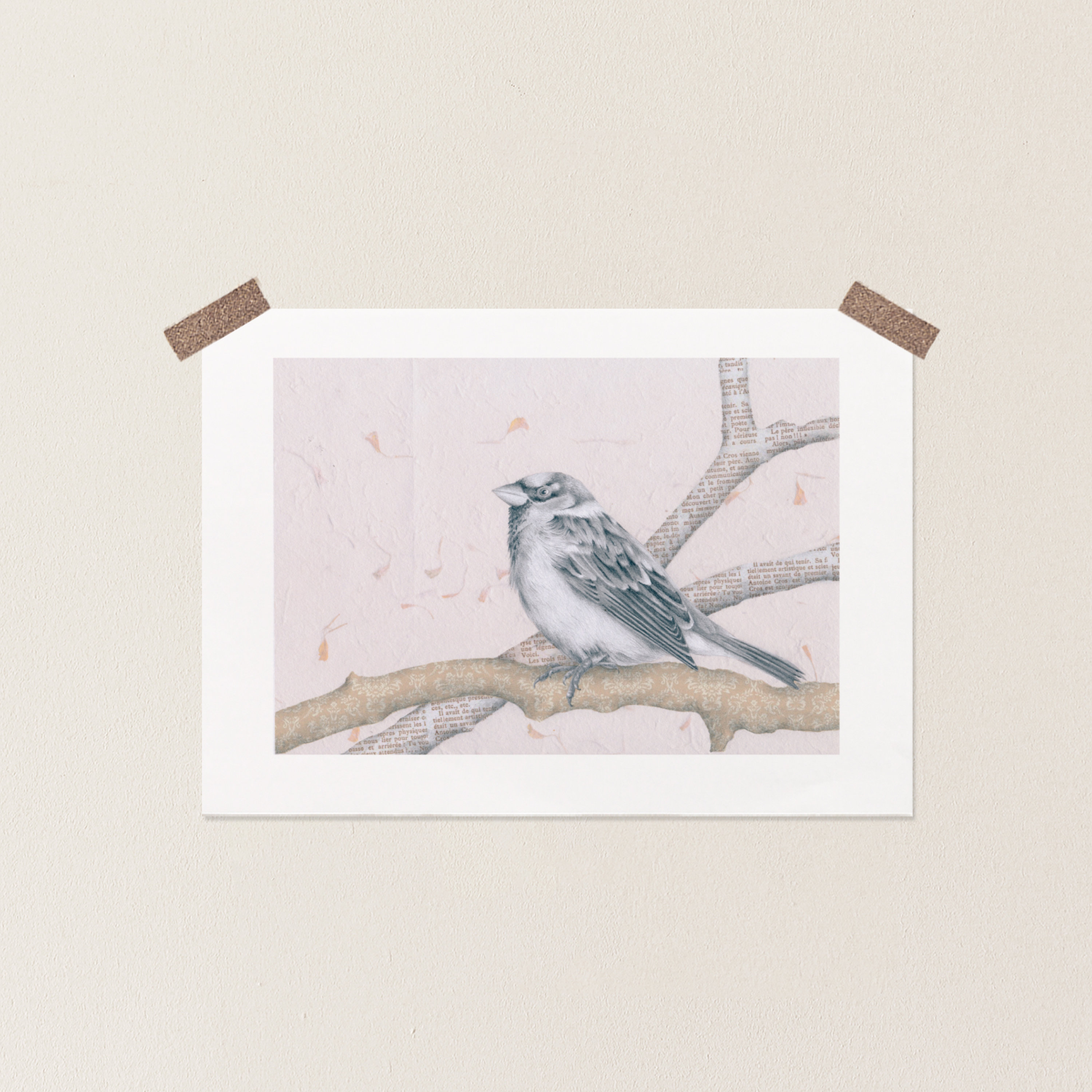 Sparrow Print Graphite and Collage - Etsy