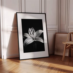 May include: Monochrome framed print of a white lily flower against a black backdrop. The artwork is displayed on a wooden floor, propped against a white wall. A chair and another framed print are visible in the background.