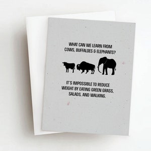 carte d’humour de buffle