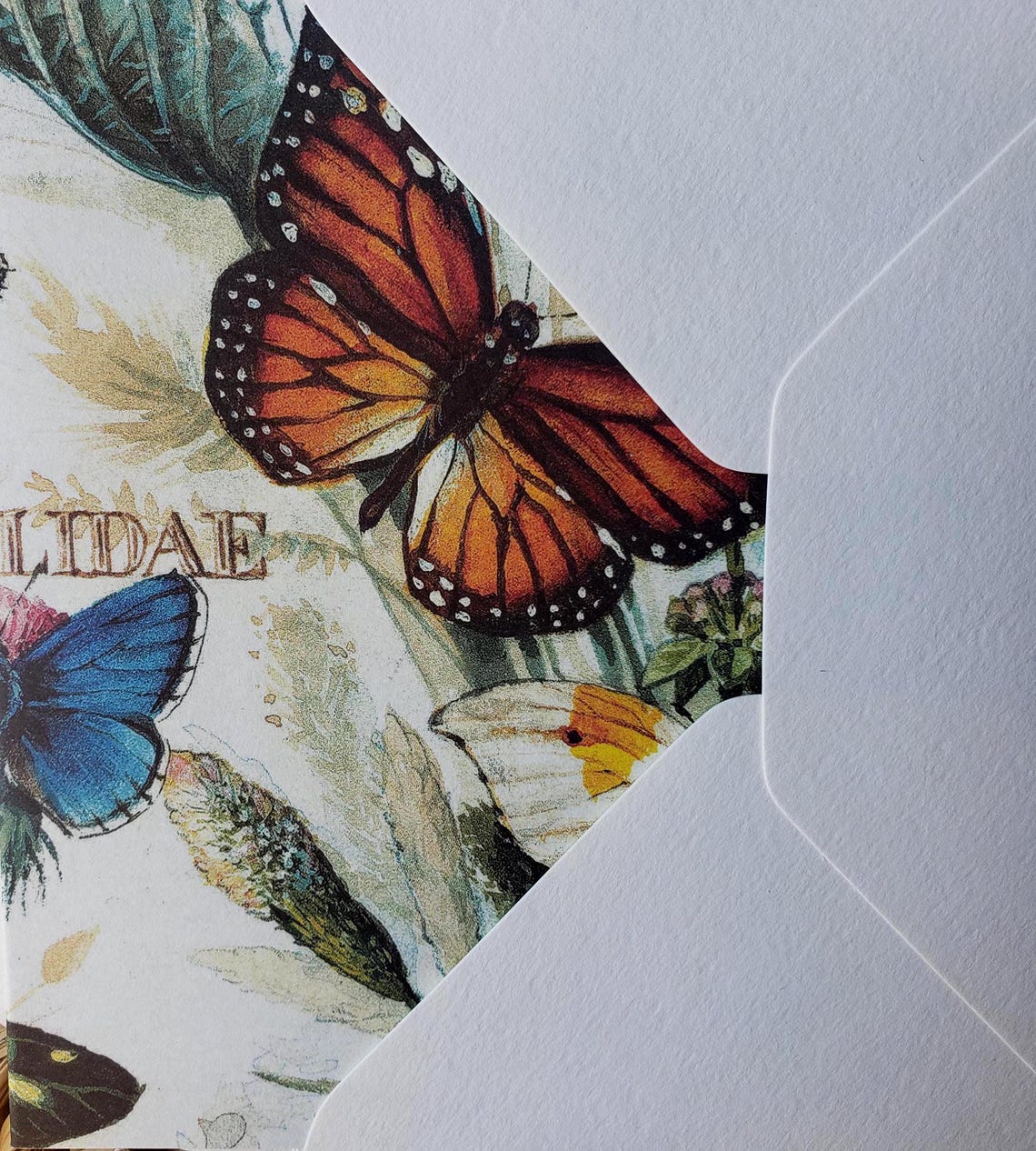 A2 Butterflies Greeting Cards (set of 10) - Etsy