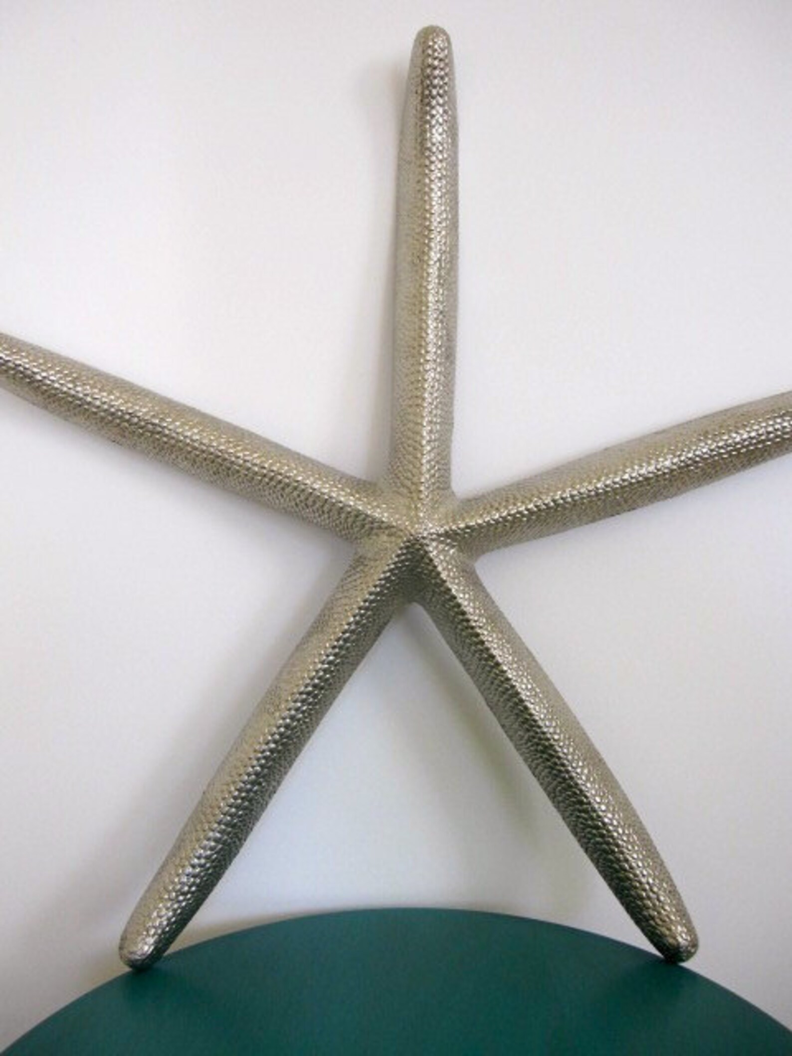 Starfish Wall Art Large Starfish Starfish Beach House Wall Etsy