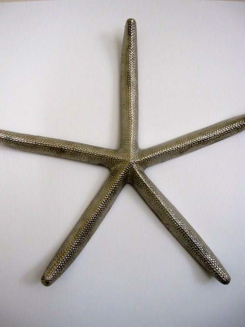 Starfish Wall Art Large Starfish Starfish Beach House Wall | Etsy