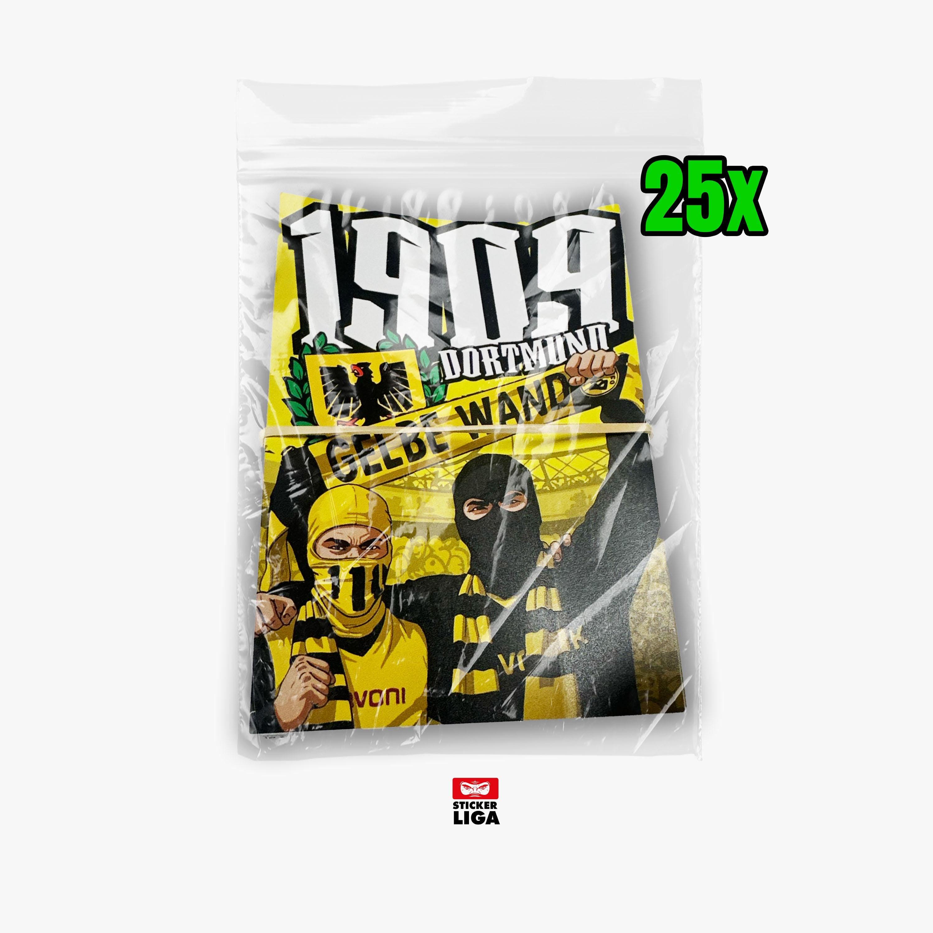 PACK X5 AUTOCOLLANTS STICKERS Vinyle Manifestation No pasaran Contre le Racisme EUR 9,90 - FR