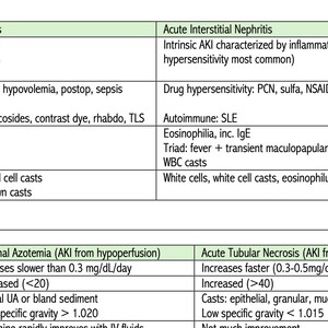 May include: A table with a chart outlining the causes, clinical features, urinalysis, and treatment of acute kidney injury. The chart includes information on acute tubular necrosis, acute interstitial nephritis, and prerenal azotemia.