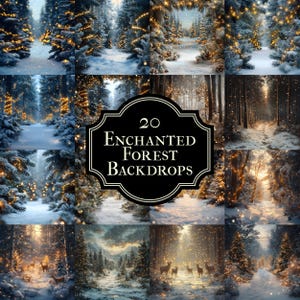Puede incluir: Una colección de 20 fondos de bosque encantado. Las imágenes representan escenas de bosque nevado con árboles y senderos iluminados. La paleta de colores general es fría, con azules, blancos y luz dorada cálida.