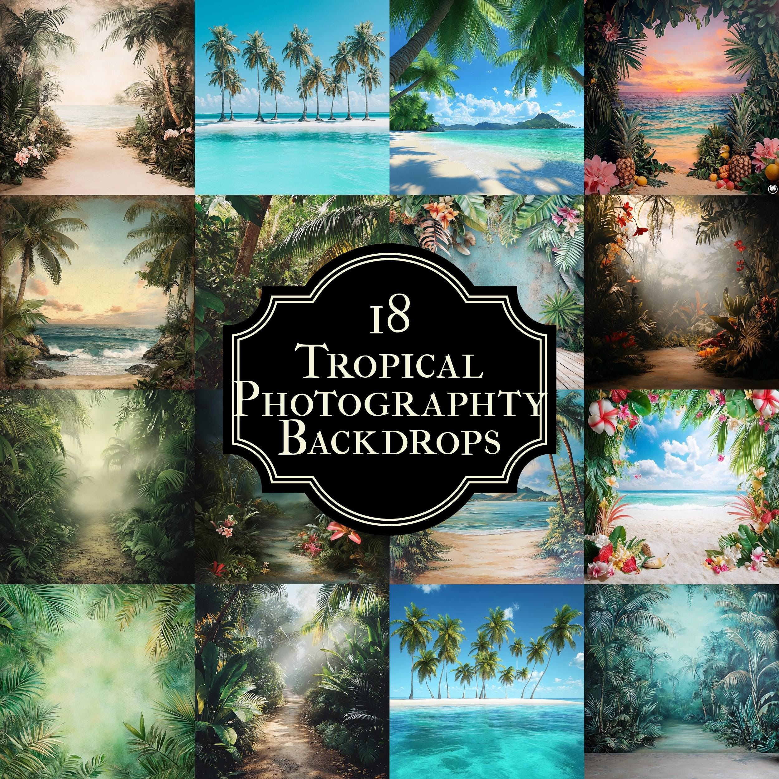 18 Tropical Beach Photography Backdrops, Palm Tree Ocean Scenes ...