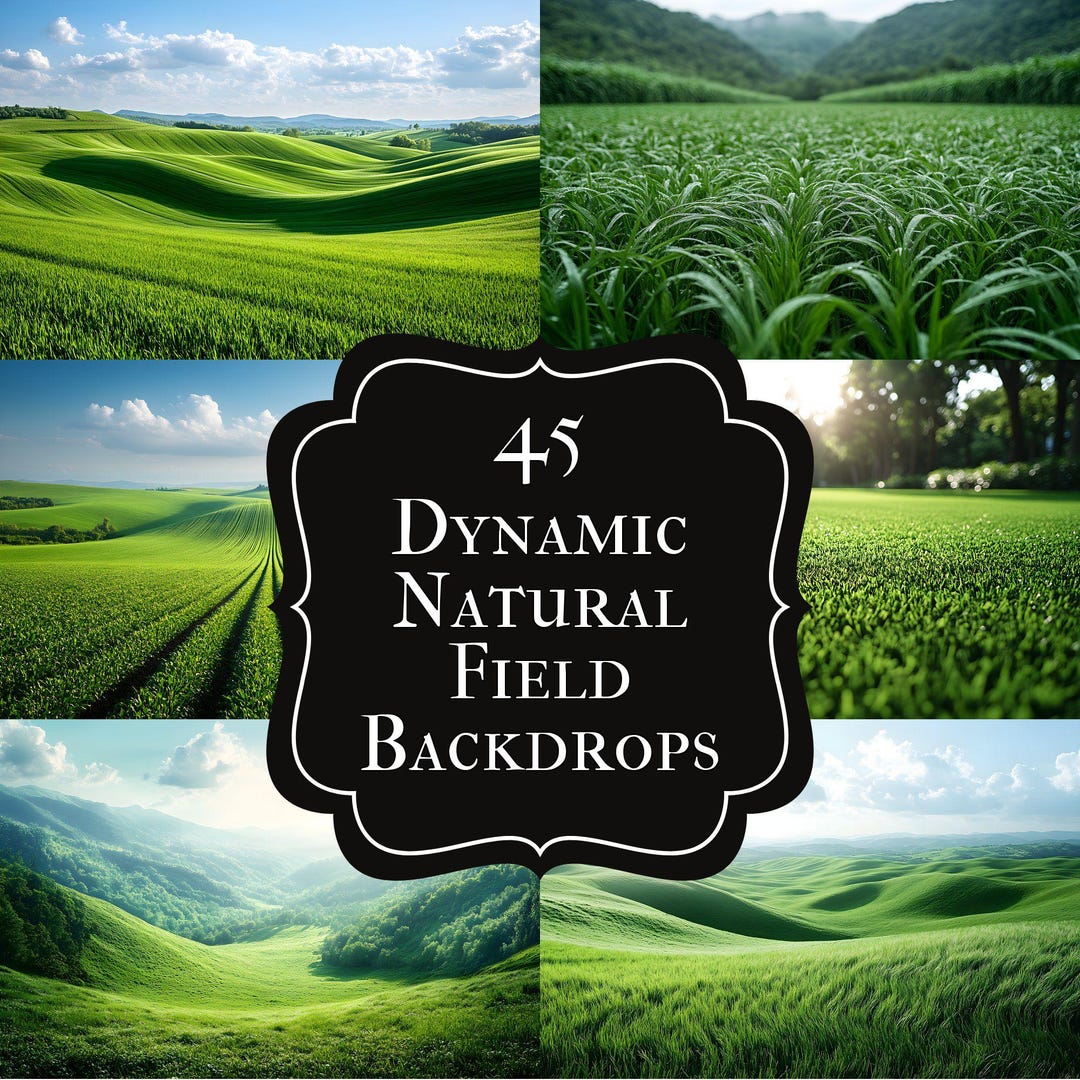 Digital Backdrop Natural Field Photography Background for Portrait ...