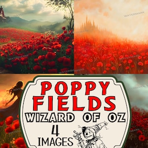 May include: Four images of a red poppy field with a castle in the background, a woman walking through the field, a woman standing in the field, and a path leading through the field. The images are titled "Poppy Fields Wizard of Oz 4 Images".