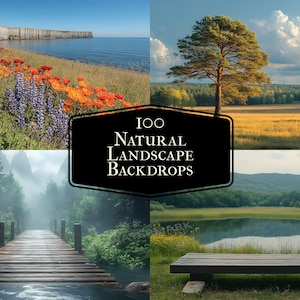 以下が含まれることがあります： 100種類の自然の風景の背景画像のセット。水辺を見下ろす崖、一本の木が立つ野原、霧のかかった森の小道、木製のベンチのある湖など、さまざまな美しい景色が収録されています。
