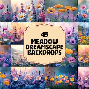 45 Meadow Dreamscape Backdrops - Whimsical Wildflower Photography & Vibrant Floral Backgrounds