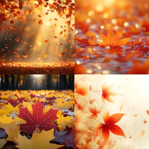 Op de afbeelding: Een collage van vier afbeeldingen die de schoonheid van de herfst laten zien. De afbeeldingen tonen vallende bladeren in tinten rood, oranje en geel. Eén afbeelding toont een close-up van een rood esdoornblad. Het algemene thema is de levendige kleuren en de sfeer van de herfst.