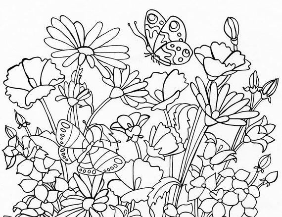 Types of Flowers 3 Part Cards Coloring Pages