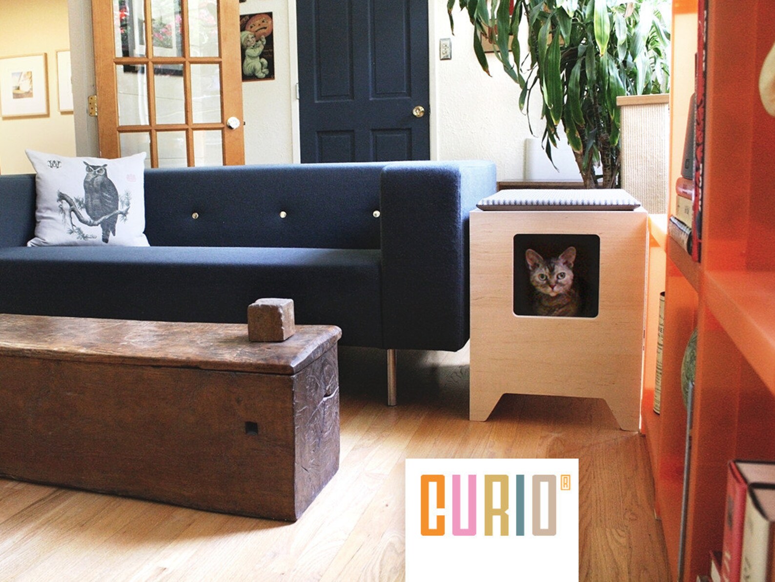 CURIO in Maple Modern Cat Litter Box Designer Cat House Etsy