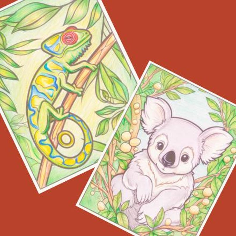 May include: Two coloring pages featuring a green and blue chameleon on a branch and a gray koala in a tree. Both images are set against a white background.