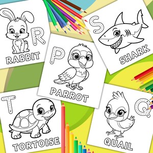 Pu&ograve; includere: Pagine da colorare in bianco e nero con diversi animali e la lettera dell'alfabeto che corrisponde al nome dell'animale. Gli animali includono un coniglio, un pappagallo, uno squalo, una tartaruga e una quaglia.