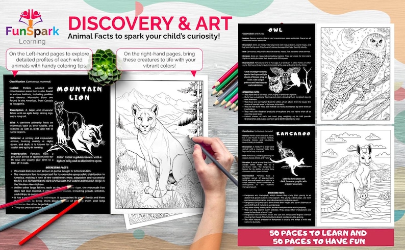 May include: Black and white coloring book pages featuring illustrations of an owl, a mountain lion, and a kangaroo. The pages include text with animal facts. The book cover has the title "Discovery & Art" and the text "Animal Facts to spark your child's curiosity!"