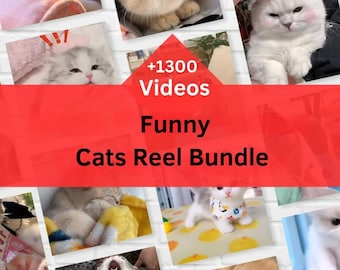 Puede incluir: Un collage de imágenes con gatos lindos en varias poses. Las imágenes están dispuestas en una cuadrícula y tienen un fondo rojo con el texto "+1300 Videos Funny Cats Reel Bundle".