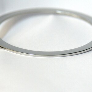 Pu&ograve; includere: Un anello di metallo argentato con una finitura liscia e lucida.