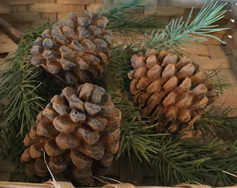 Large 1 Lb Bag Perfect for Crafting Bowl Fillers Little Valley Omrika Pine Cones Table Scatters Etc. Large 1 Lb Bag Perfect for Crafting Bowl Fillers Little Valley Omrika Pine Cones Table Scatters Etc.
