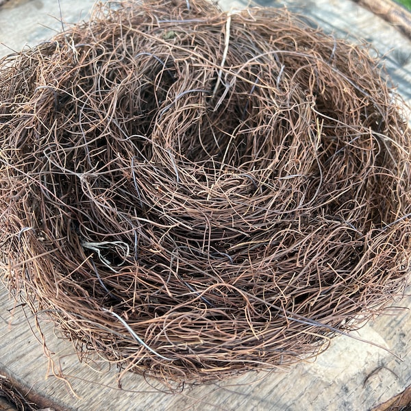 Angel Vine Garland~Bowl Fillers~Brown Twigs~Dried~Arrangements~Floral~Primitive~Natural~Gardens~Arbors~Fences~