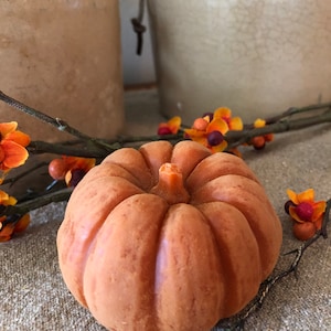 Kleines, dickes Bienenwachs-Kürbis in dickem Kern-Orange