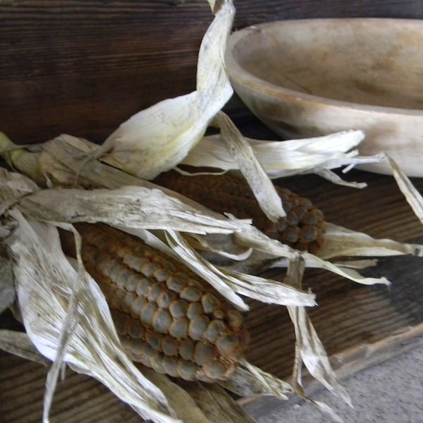 Primitive Beeswax Corn With Husk  #302 ~Blackened~Golden~Fall~Harvest~Corn~