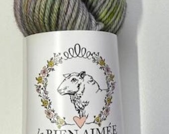 La Bien Aimee Merino DK yarn, color Everything is Awesome