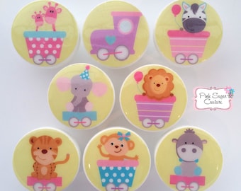 CHOO CHOO EXPRESS Animal Train Jungle Safari Circus Knobs Girls M2M bedding Kids Nursery drawer pulls ... elephant bear zebra lion