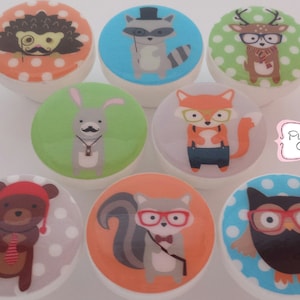 HIPSTER WOODLAND TIERE Friends Knäufe #2 M2M Bettwäsche Waldfreunde Waldfreunde Schubladenknäufe ... so süß!