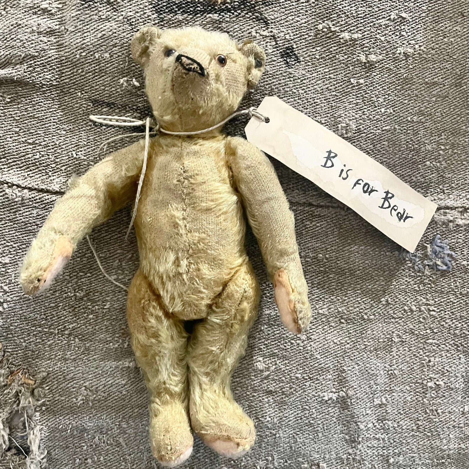 Antique Steiff Bear,1905 to 1933, Steiff Button, German made antique Bear.