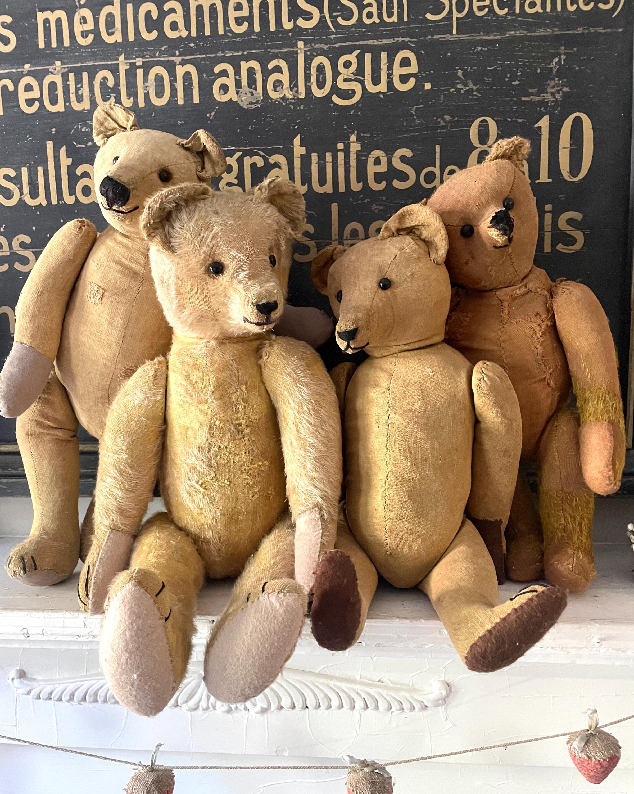 1910 Steiff Bear - Etsy