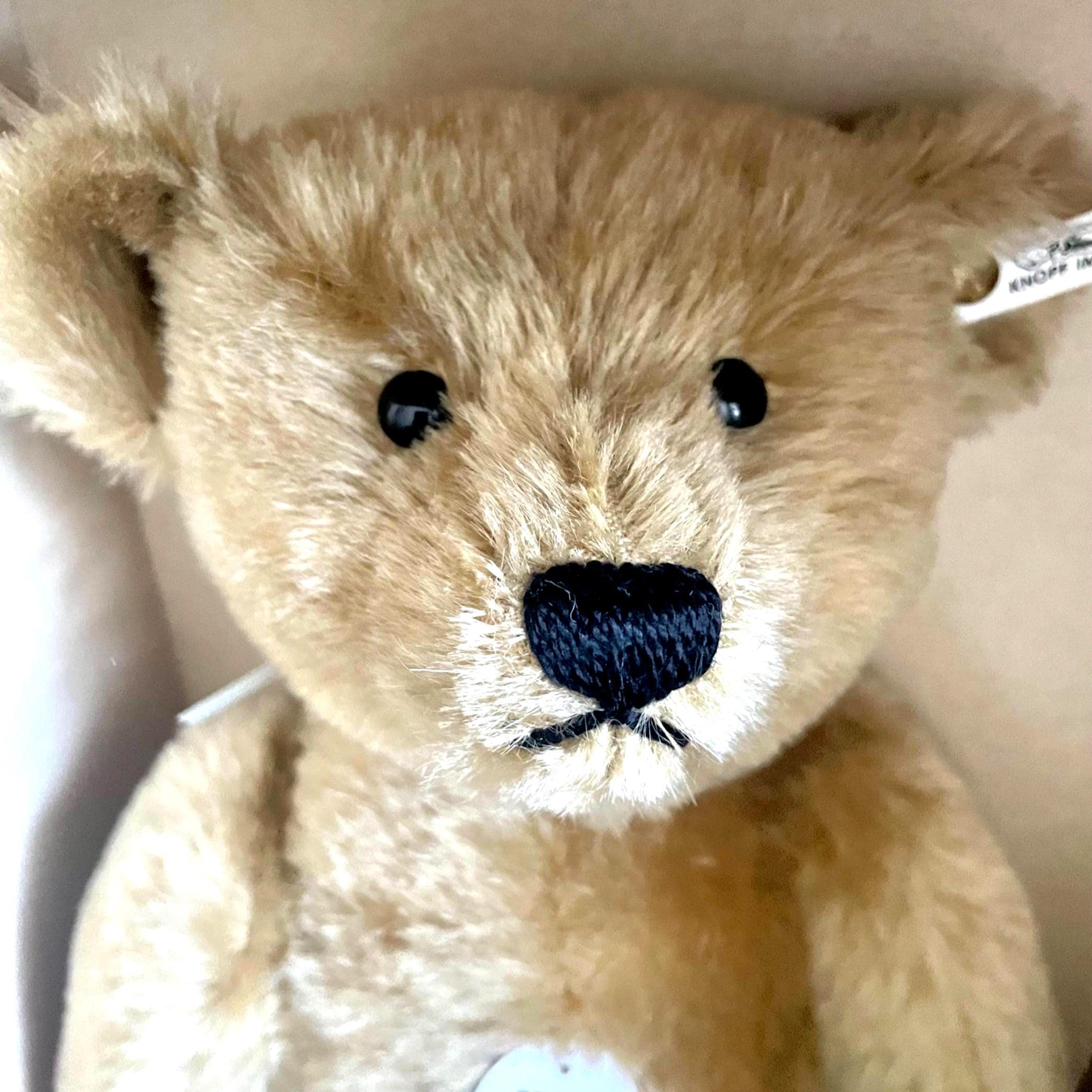 Steiff Box - Etsy