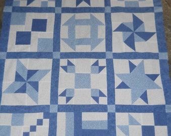 Blue Sampler  --  quilt top  **new**  (45 x 58)