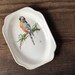 Arielle Routhier reviewed Vintage hand painted porcelain dish with macaw parrot Harker 1840 | rectangular plate |