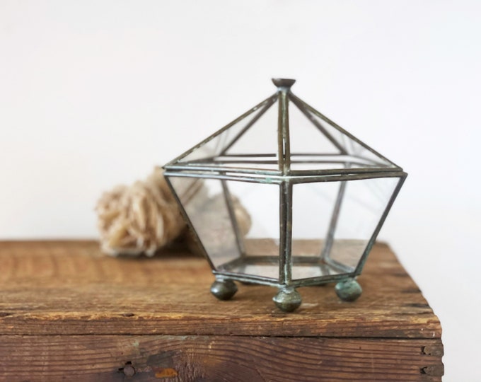 Vintage Glass Display Case Hinged Curiosity Box Glass Paneled Terrarium