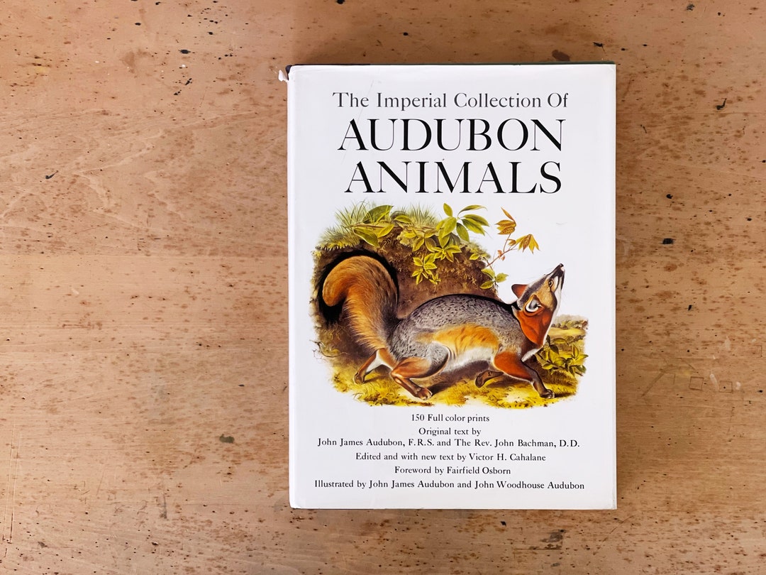 Vintage Animal Book Imperial Collection of Audubon Animals Etsy