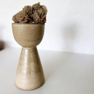 Puede incluir: Un jarrón de cerámica beige con una parte superior ancha y redondeada y una base cónica estrecha. El jarrón contiene varios grupos de cristales de rosa del desierto marrones. El jarrón tiene una superficie texturizada y se muestra sobre un fondo blanco.