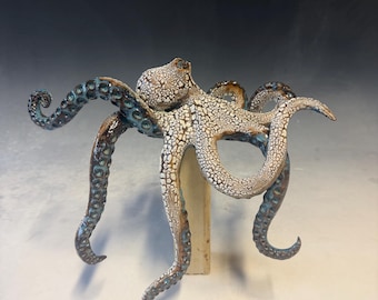 Shelf Octopus
