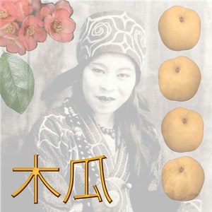 Color print: Chinese Quince Medical Astringent (Moonshine) 9&quot; x 7-1/2&quot;