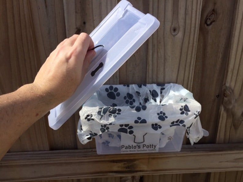 Pablo's Potty Dog Poop Receptacle Etsy