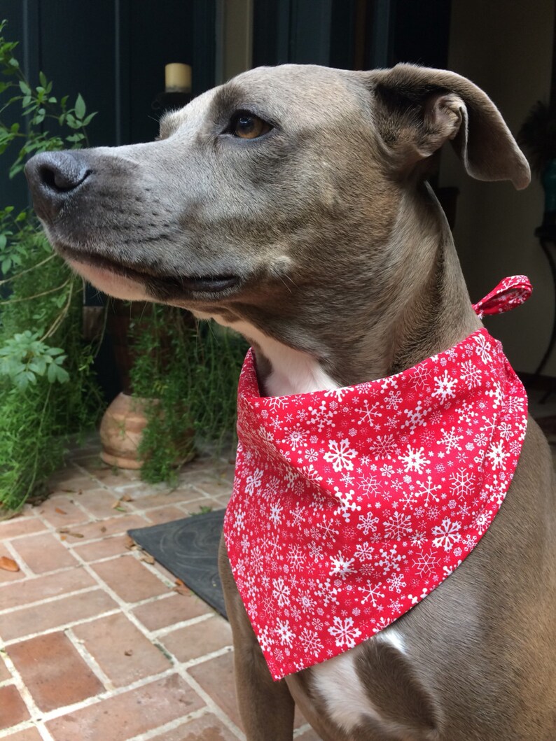 Christmas Snowflakes Bandana
