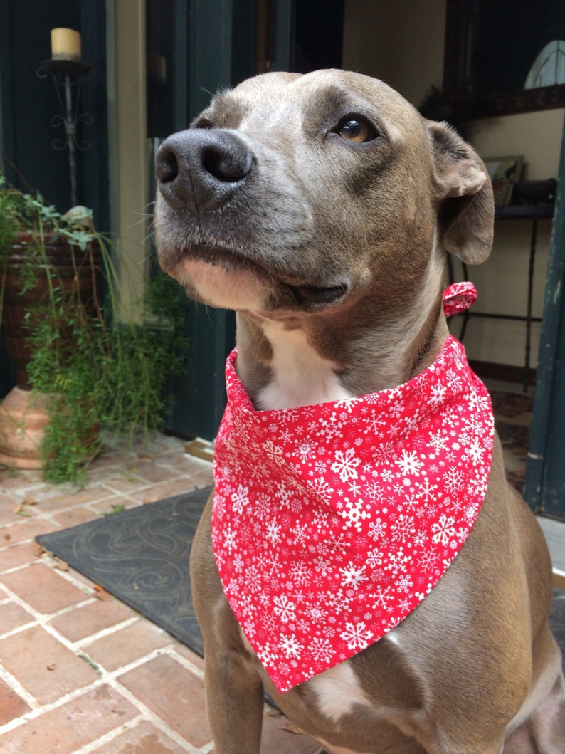 Christmas Snowflakes Bandana