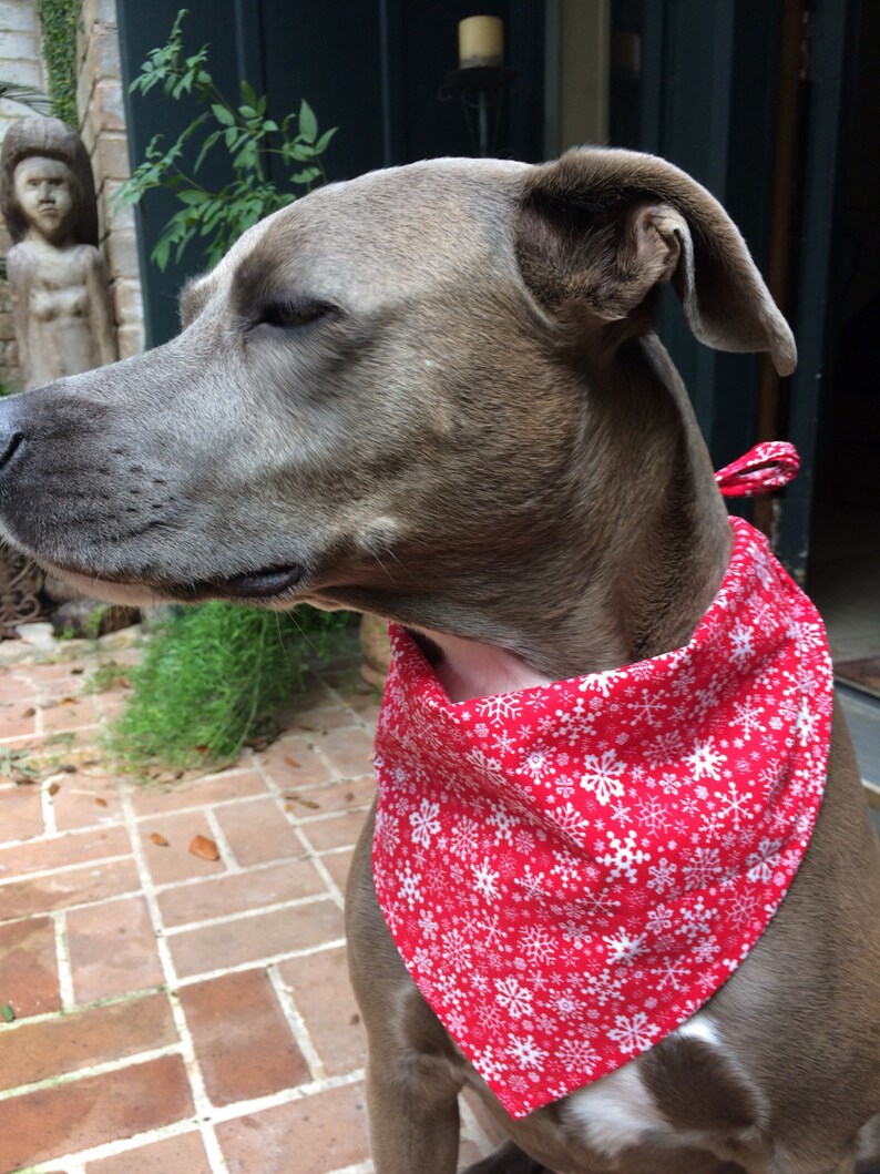 Christmas Snowflakes Bandana