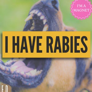 Ik heb hondsdolheid automagneet, grappig losgeslagen bumpermagneet cadeau, Weirdcore esthetische autosticker, Gen Z autoaccessoire, Sarcastic Road Rage-sticker